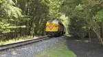 CVSR 6777 retreats through the tree tunnel.